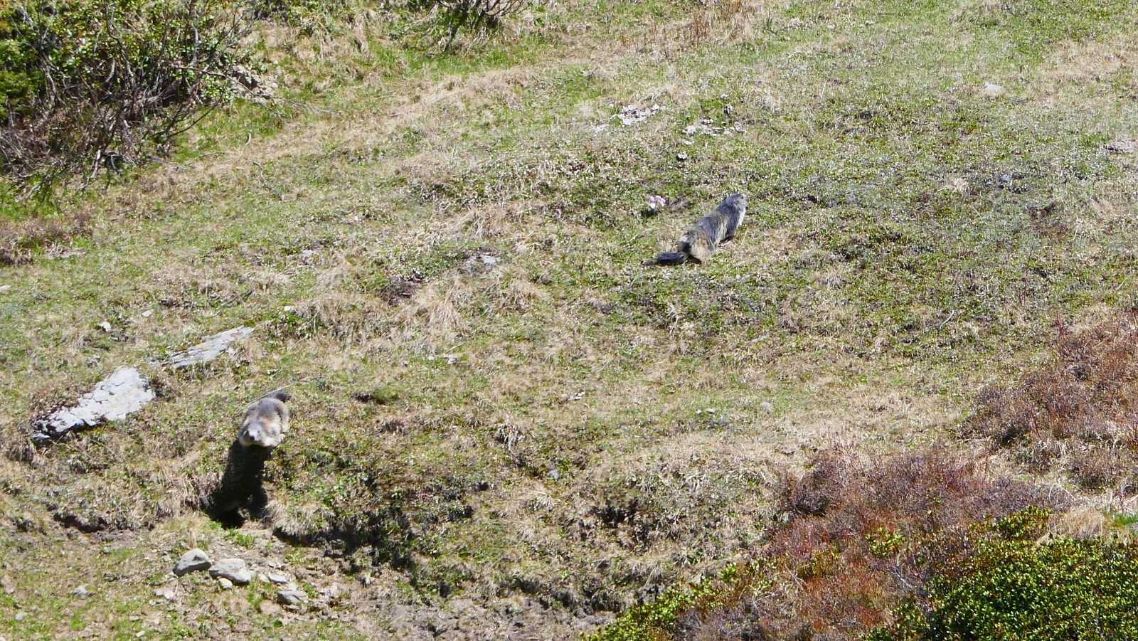 Toujours à poil le long des chemins... indécent!