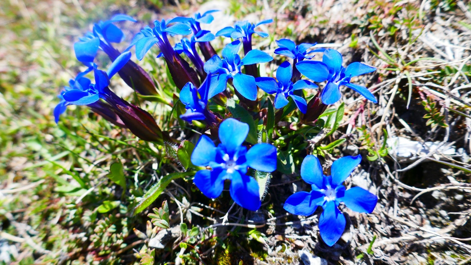 Été en approche...