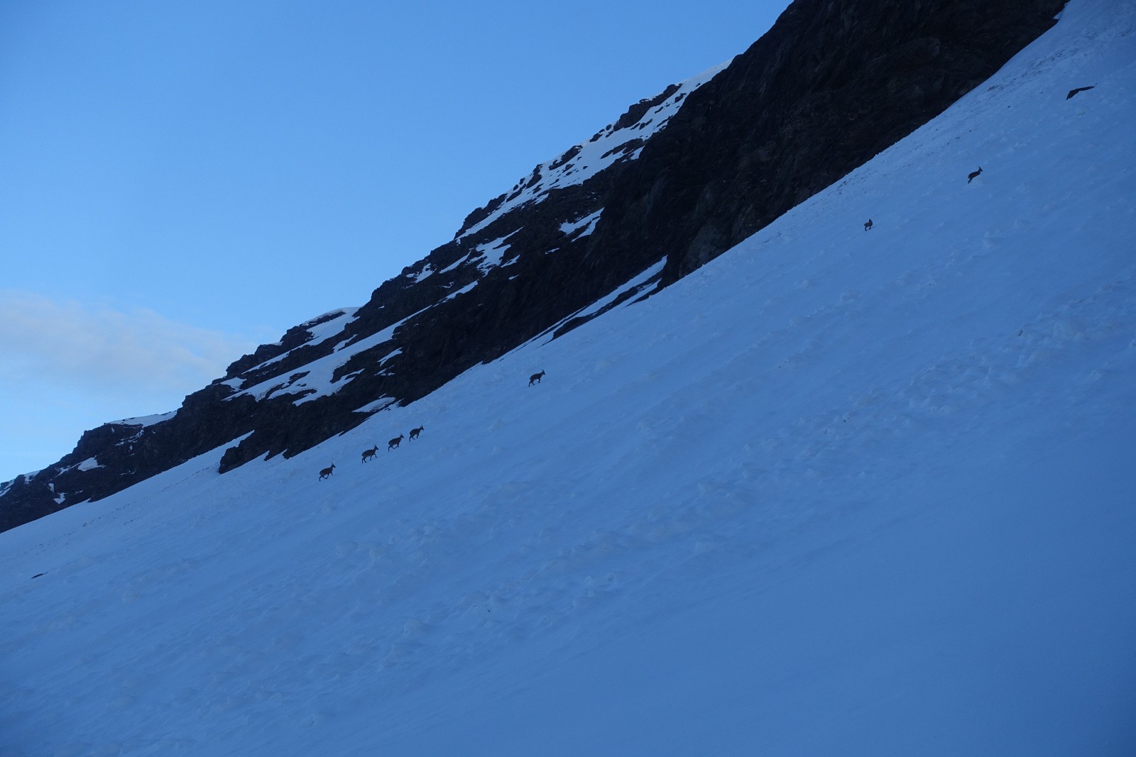 Ils nous montrent le chemin