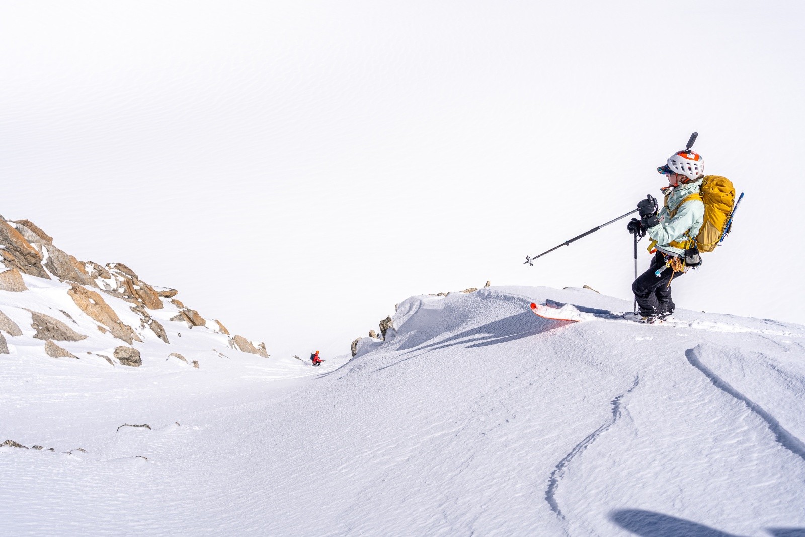 &nbsp;Haut de tête blanche, pas facile à vue