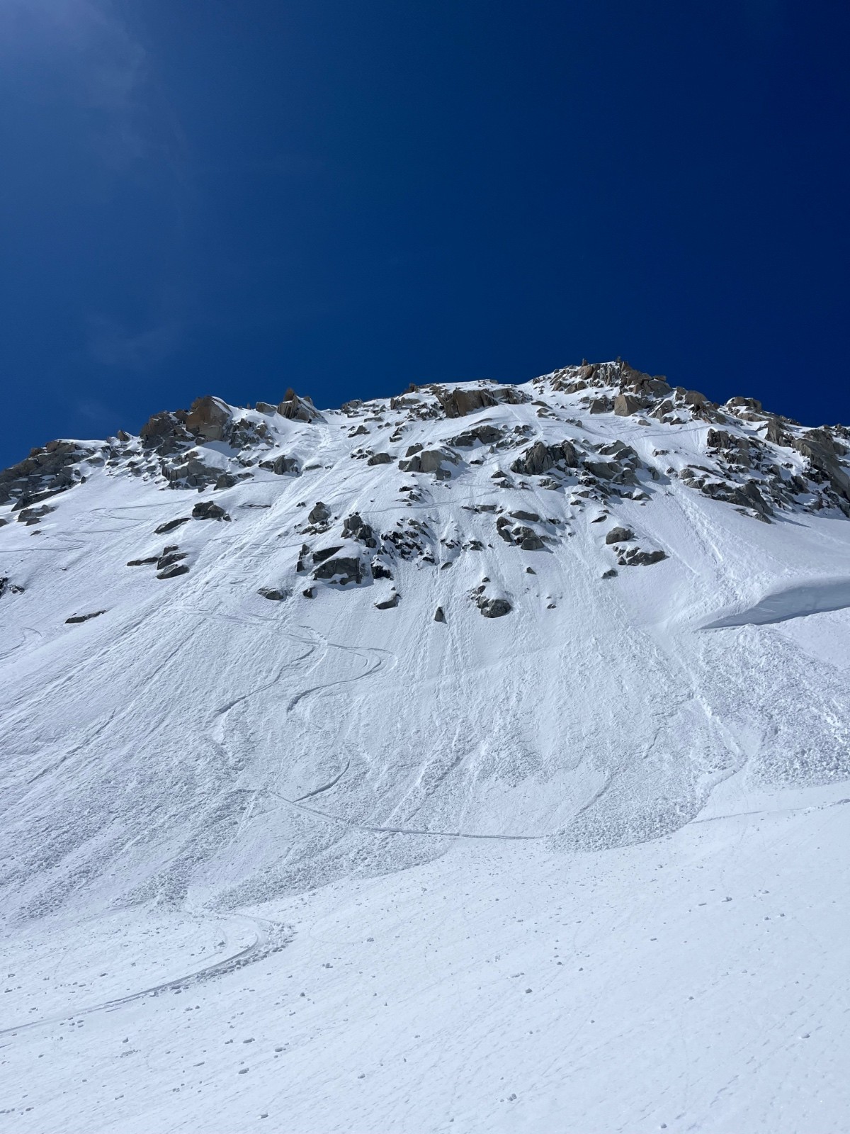 Face Tête Blanche&nbsp;