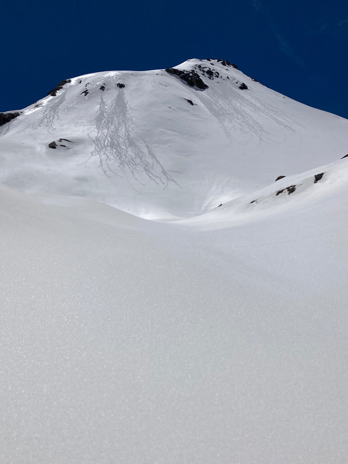 &nbsp;La tête carrée&nbsp;