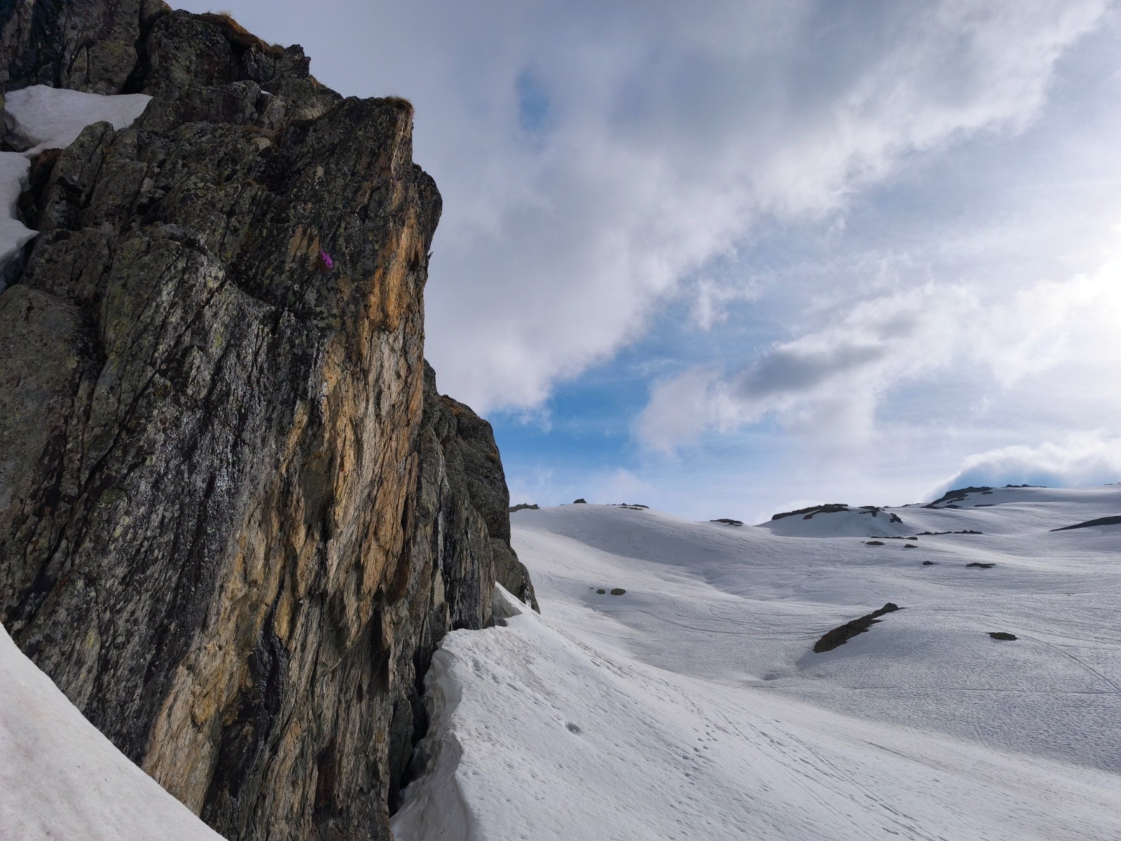 Un peu de couleur végétale