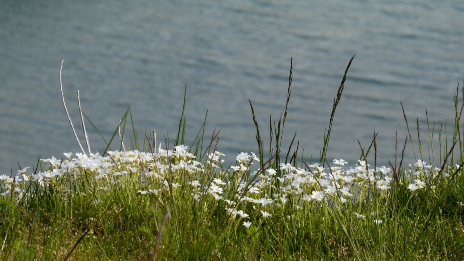 au bord de l'Eau d'Olle&nbsp;