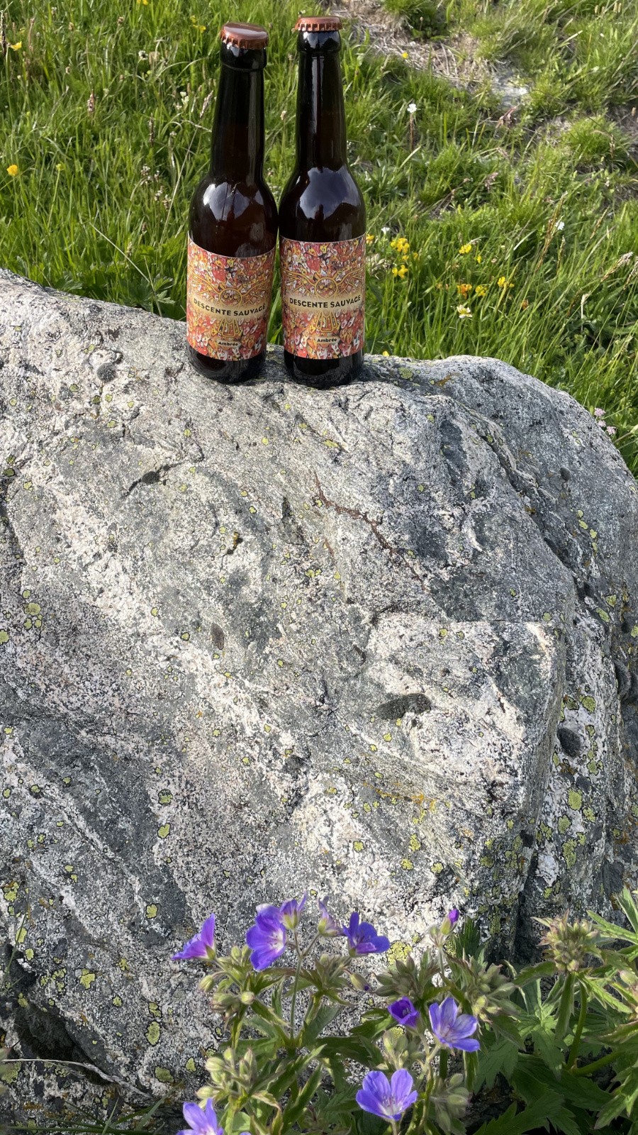 descentes sauvages&nbsp;