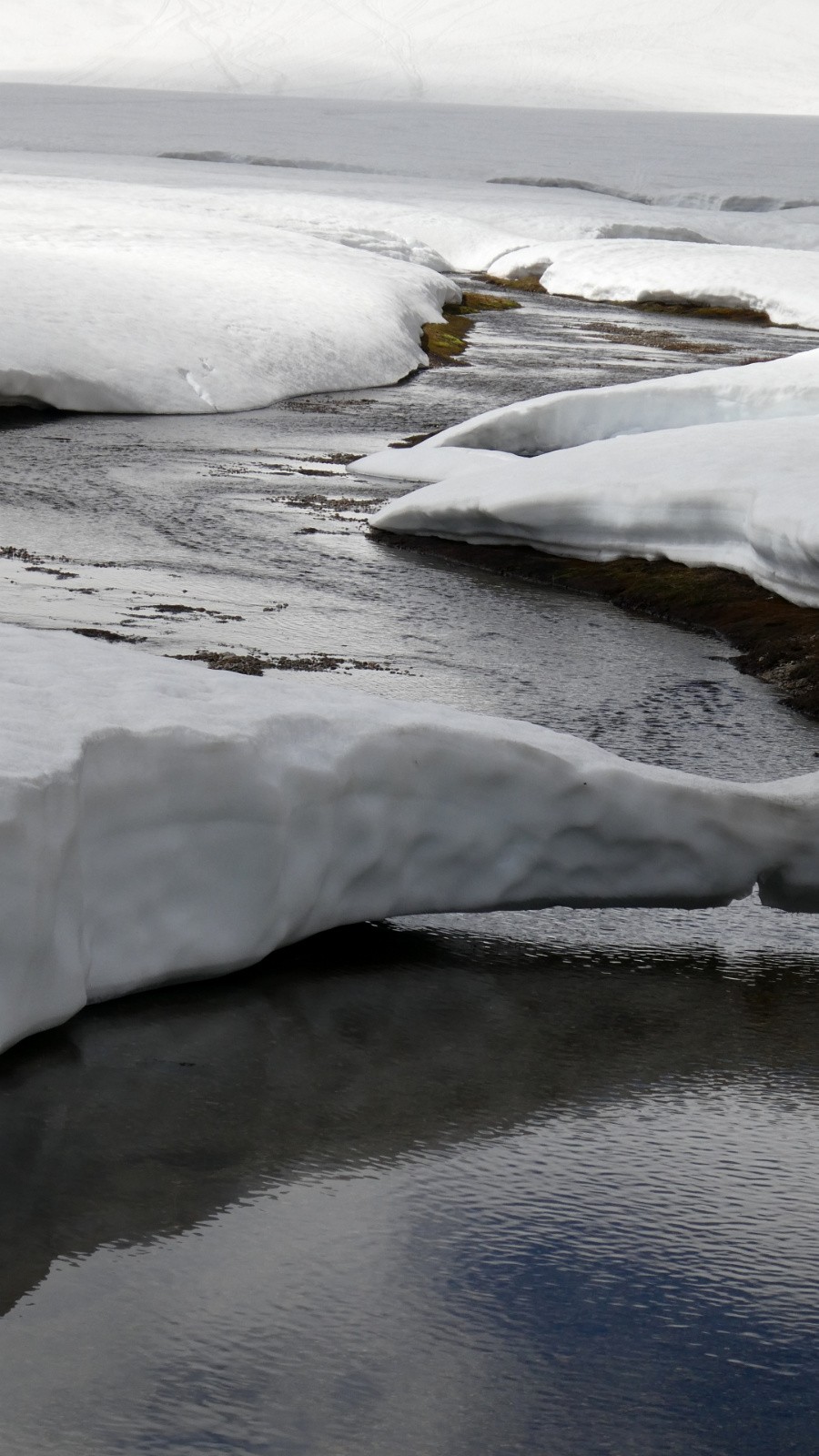 les Ponts et Chaussées devraient consolider&nbsp;