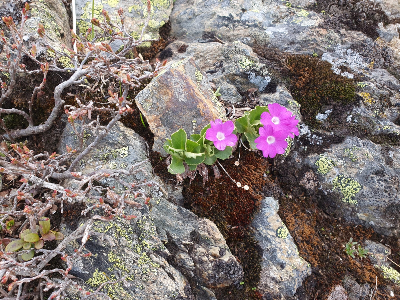 Un message du petit Poucet