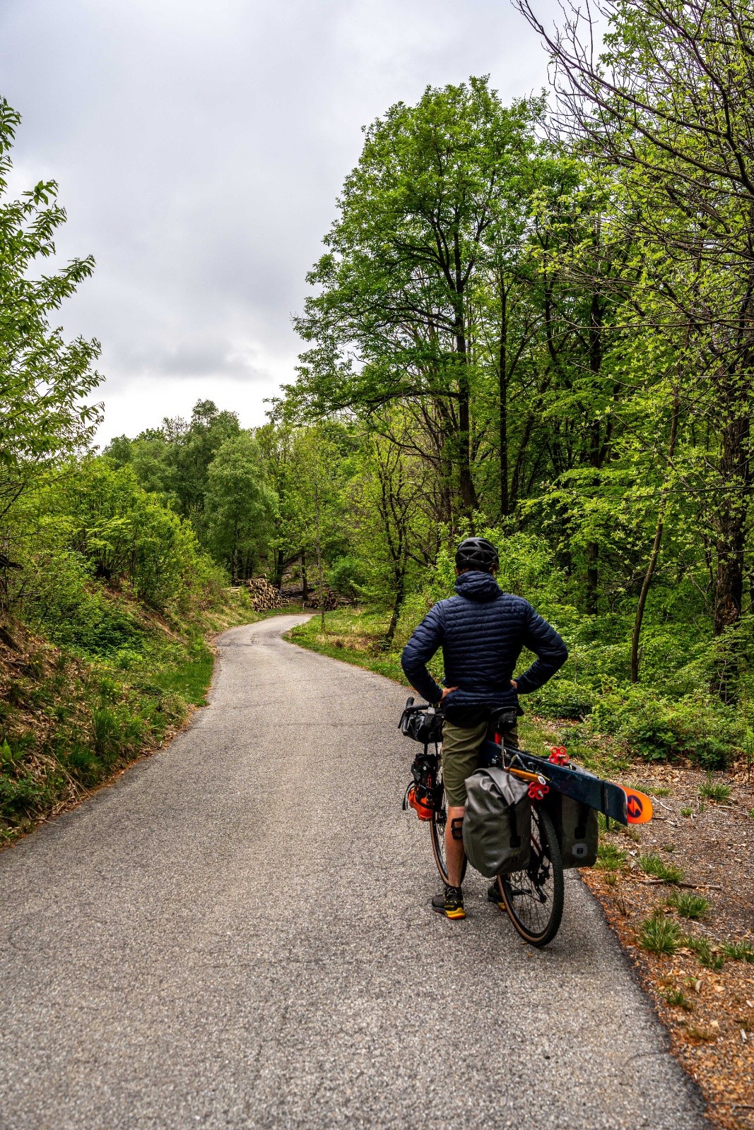  Belle ambiance dans la forêt 