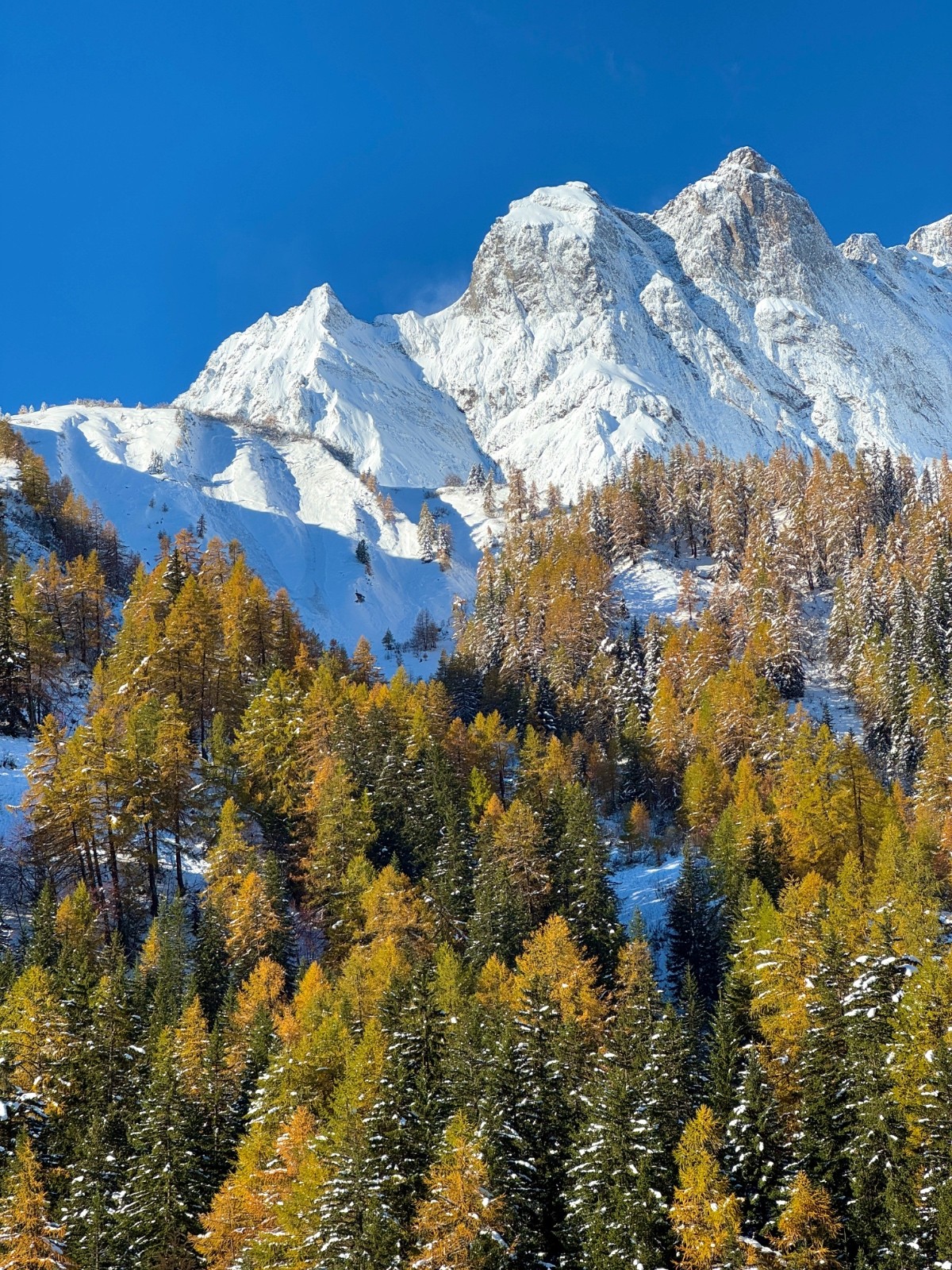 #3 Automne ...  Automne ...