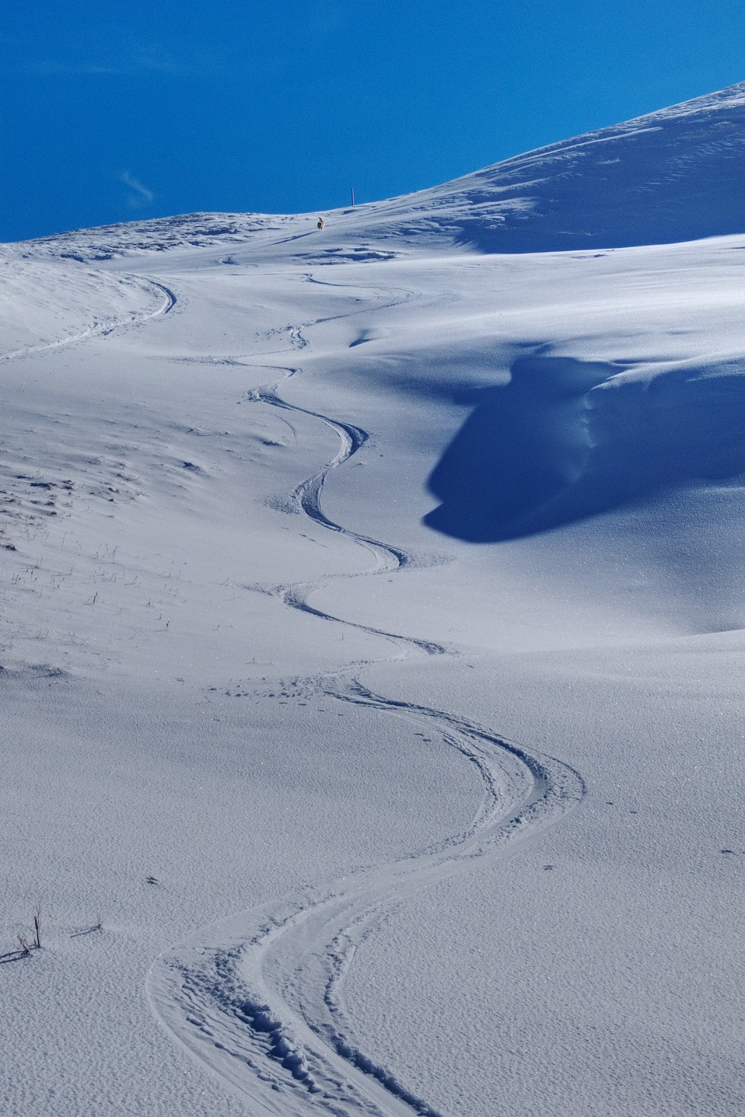 #11 Plaisant !  Plaisant !