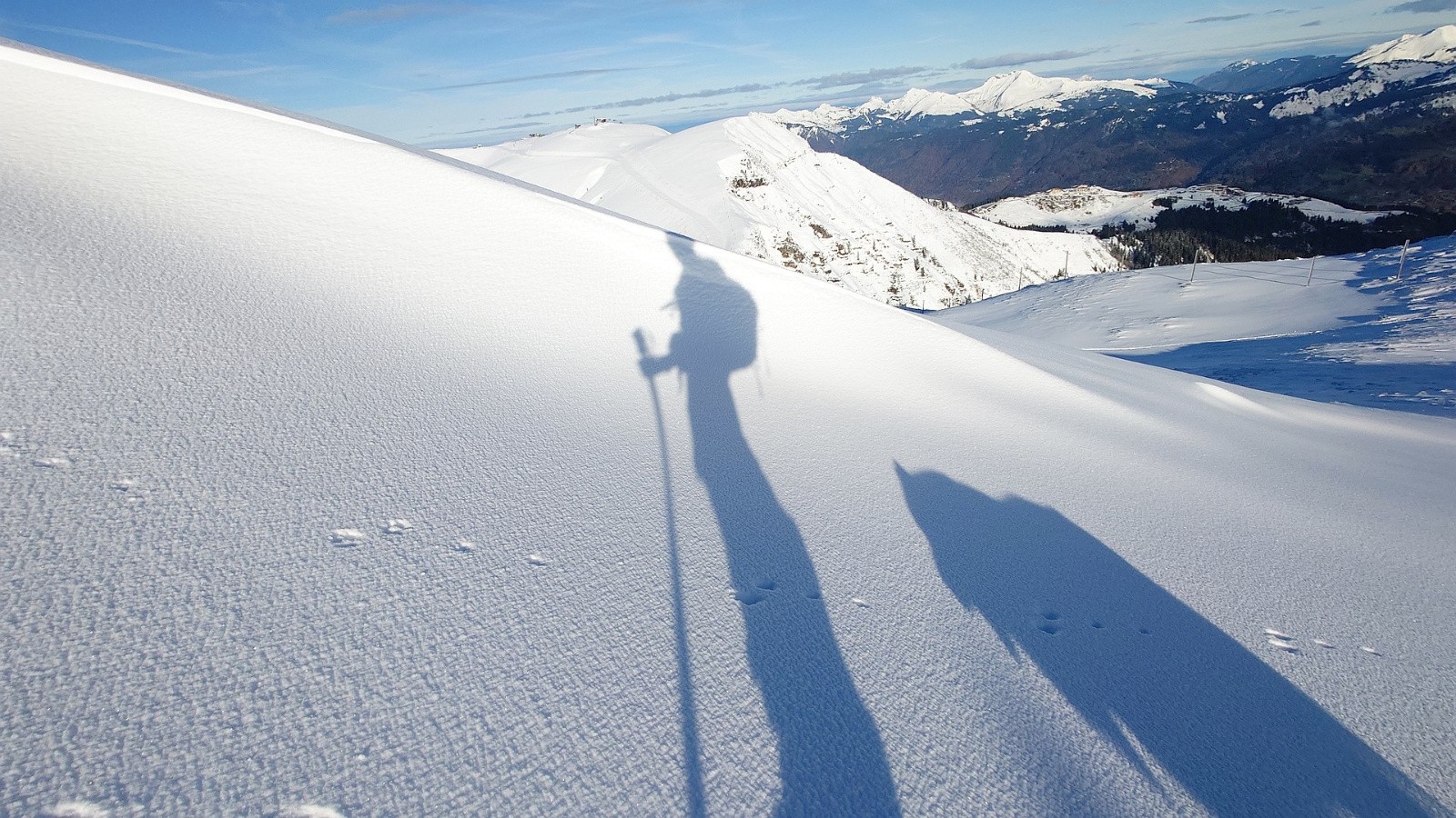 #5 Les deux font la paire  Les deux font la paire