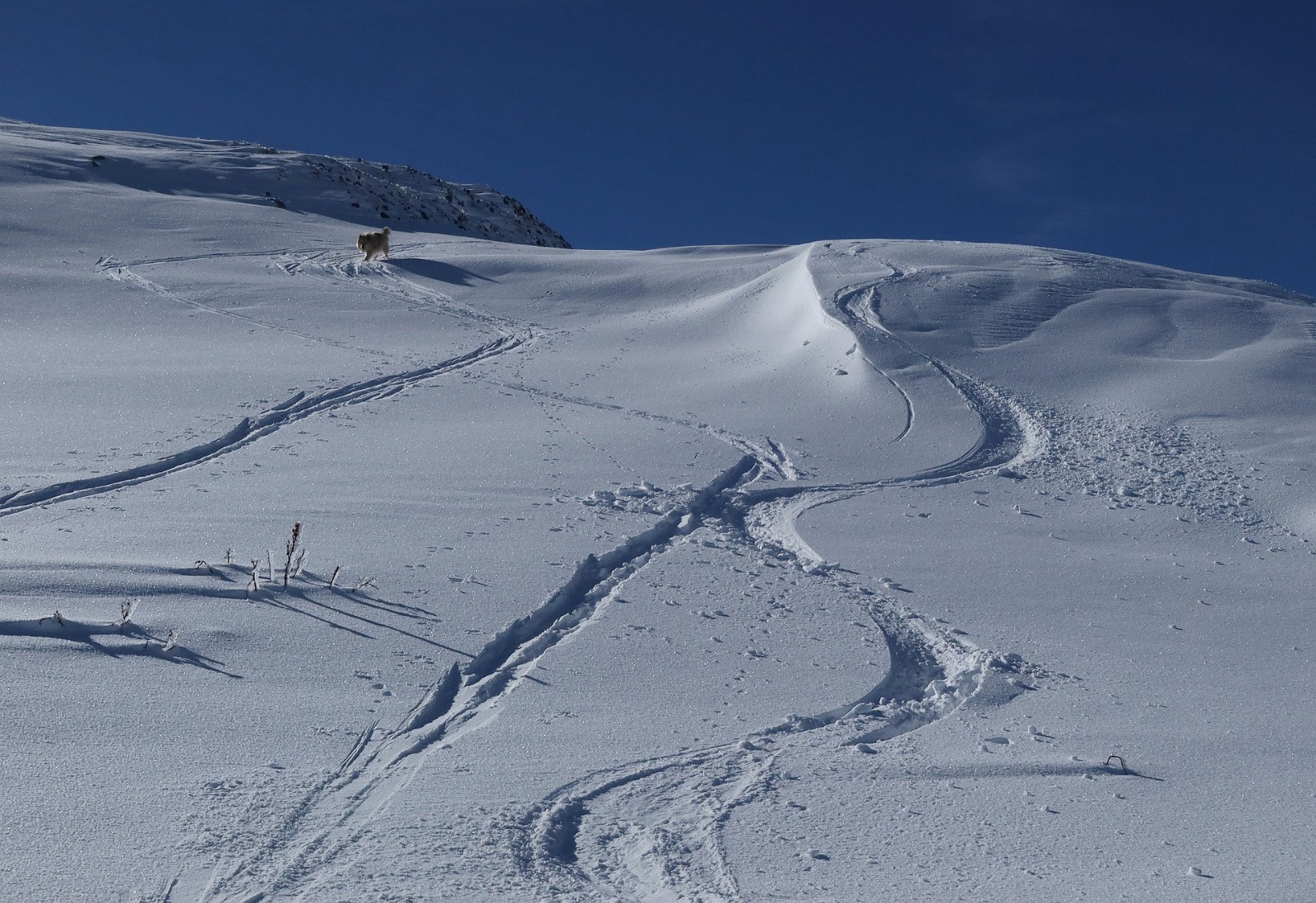 #10 en cherchant bien ... piste Grenat  en cherchant bien ... piste Grenat