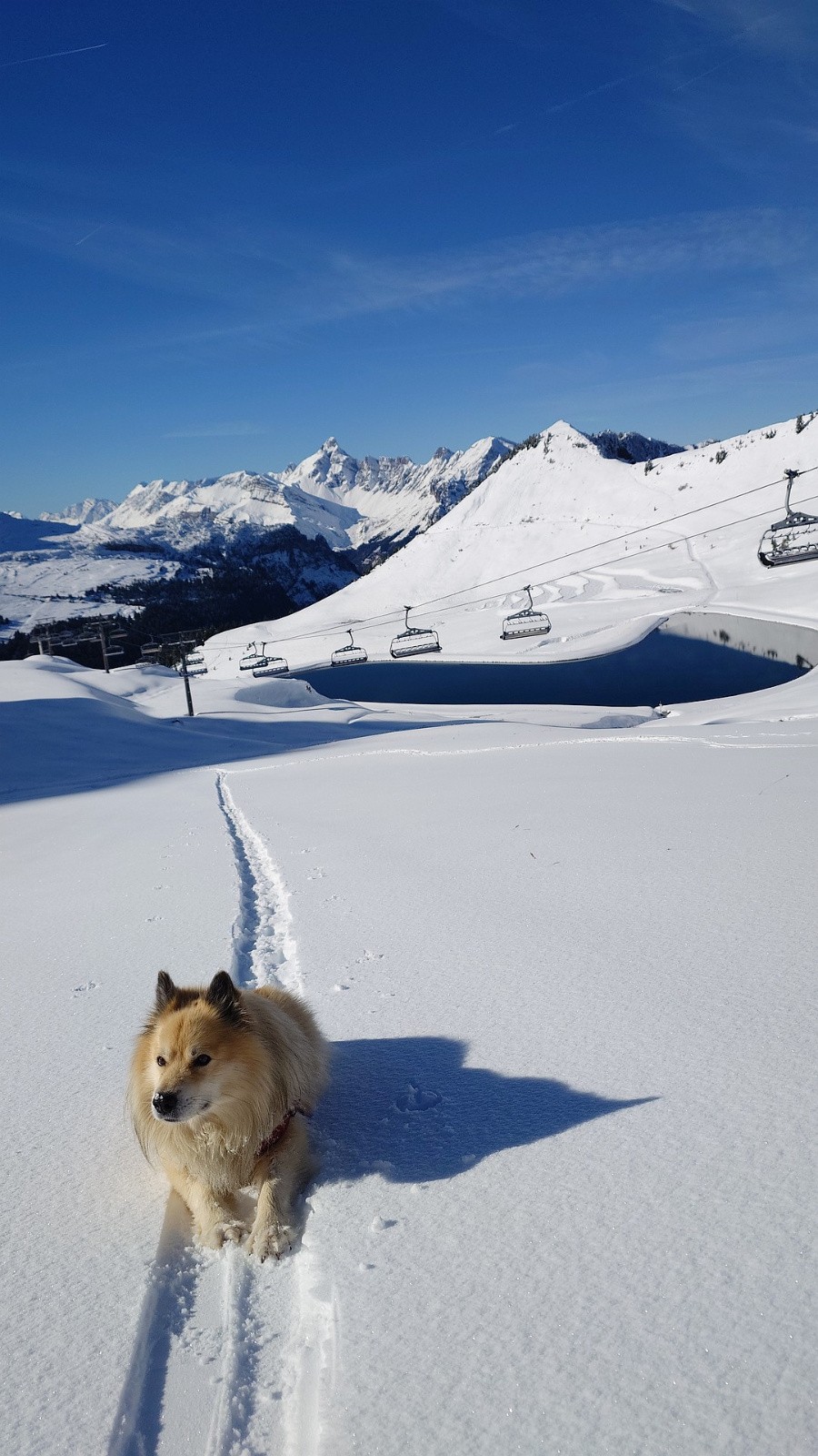 #7 Tourmaline, montée #2  Tourmaline, montée #2