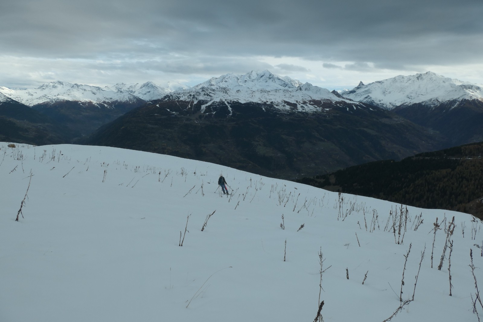 #31 Entre les herbes  Entre les herbes