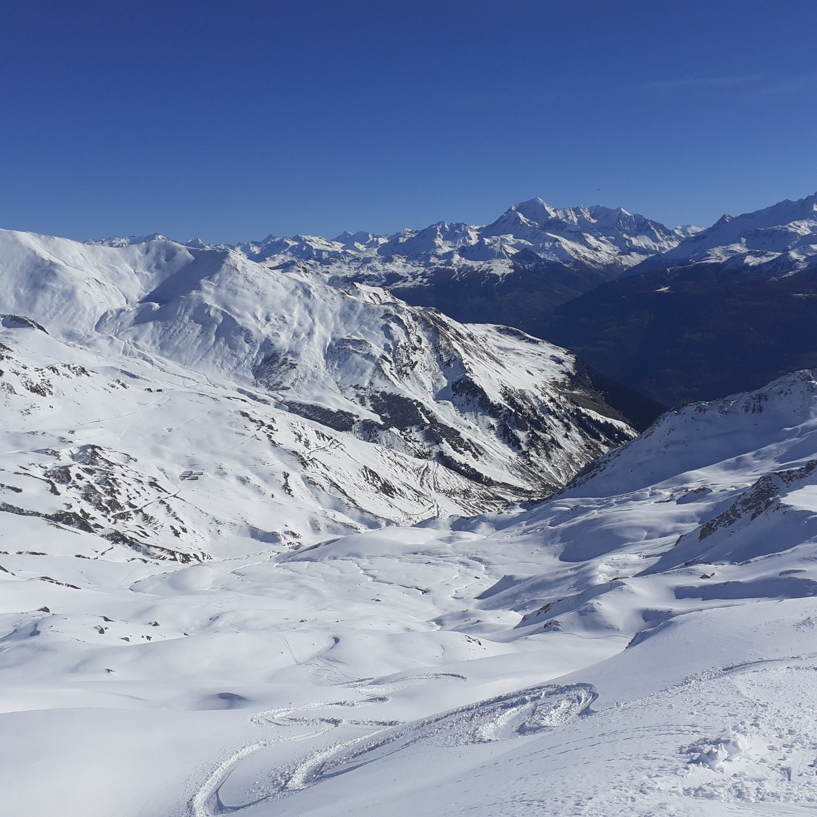 #5 Vers la Pesée Vers la Pesée