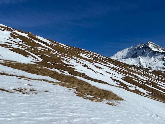 peu de neige sur le bas