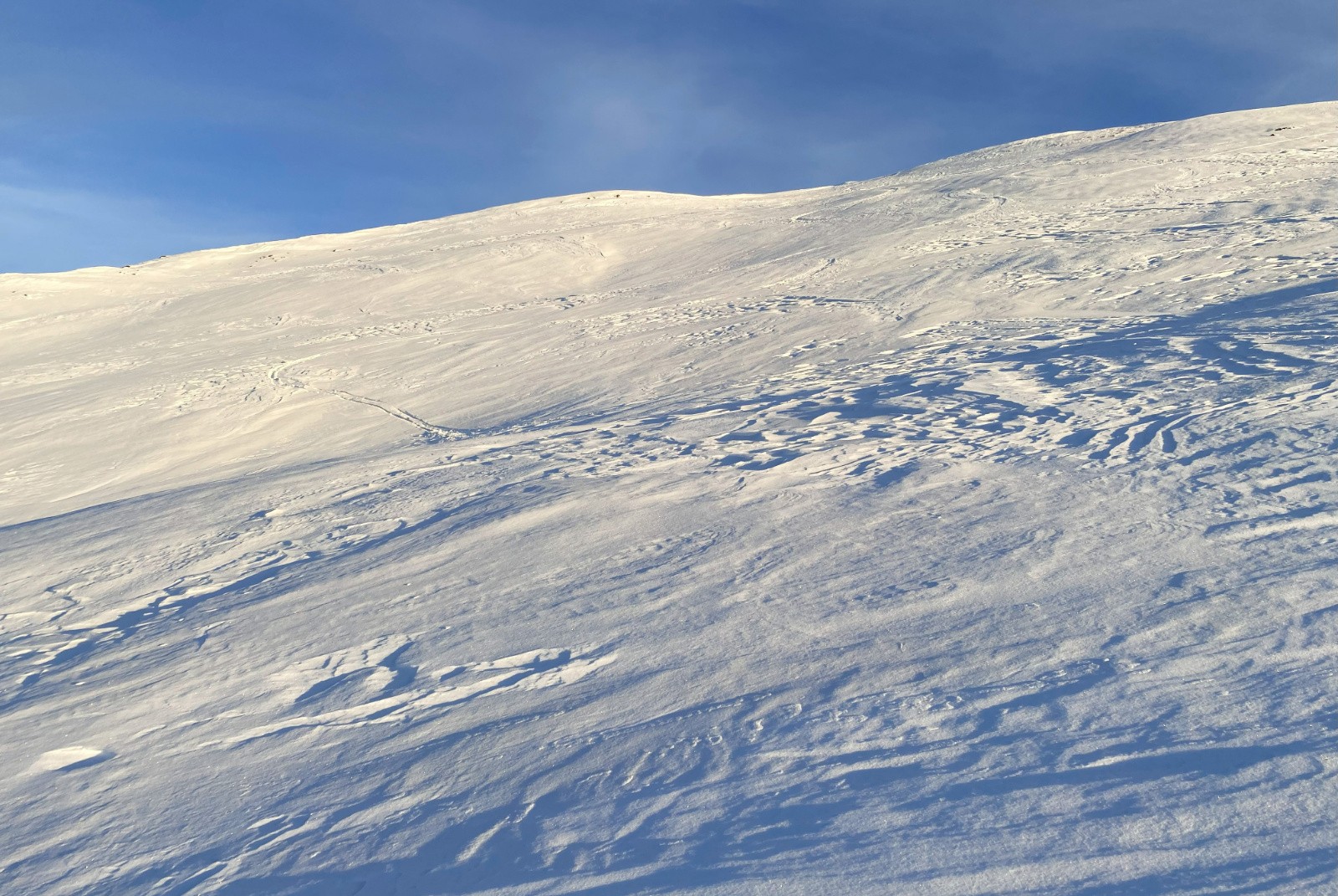 Dôme des aiguillettes en neige sympa (sorte de carton mou)