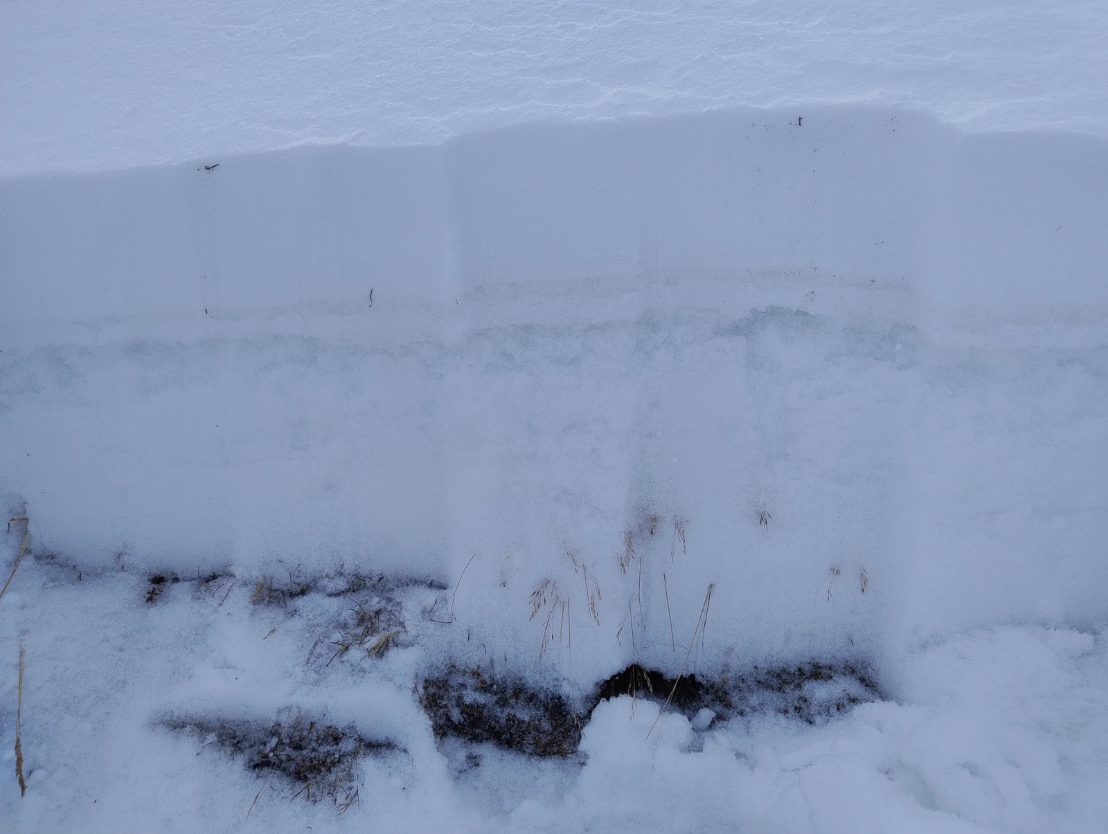  Neige fraîche sur couche fragile de faces planes / gobelets 