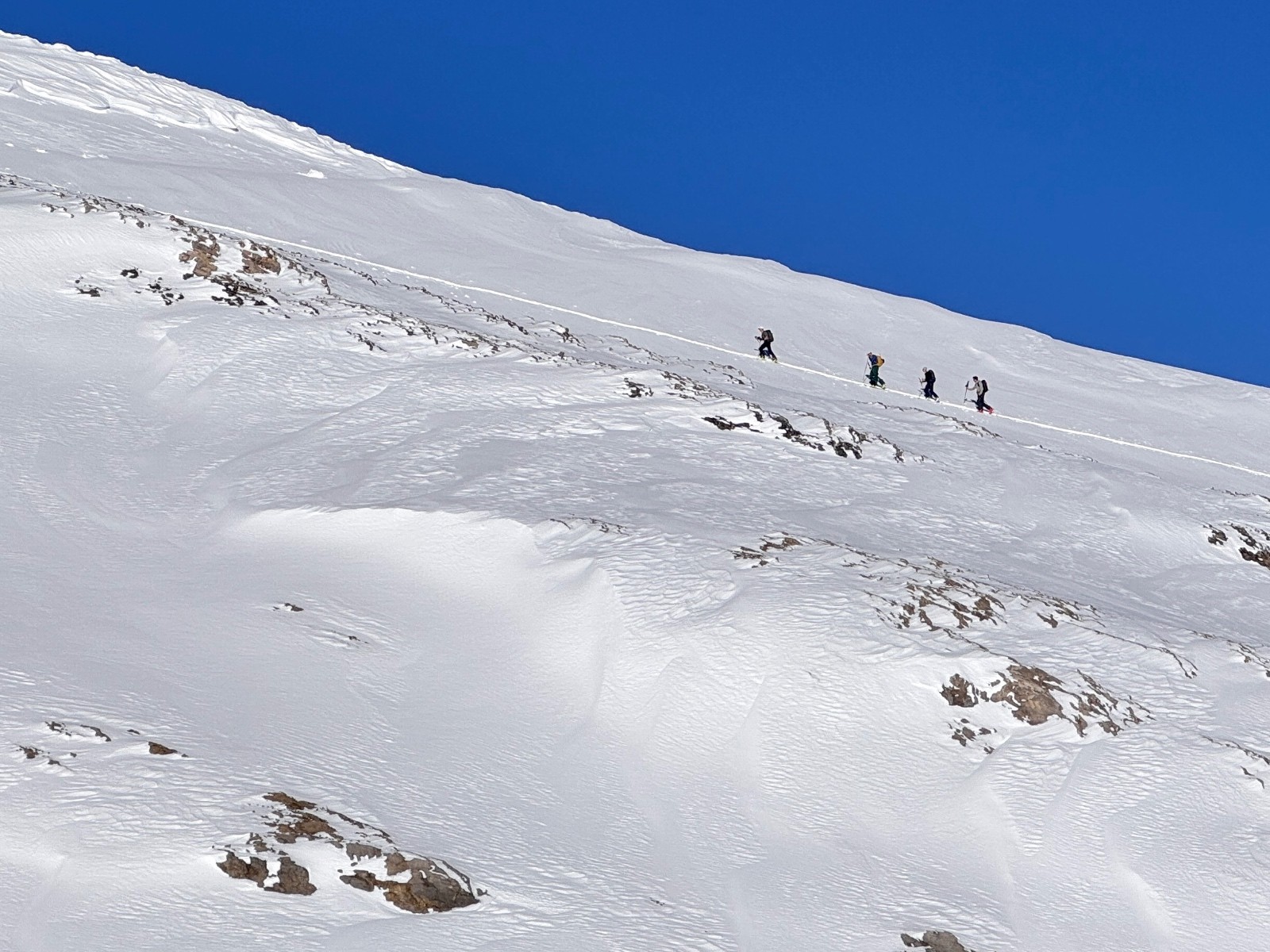 #7 Bien disciplinés Bien disciplinés