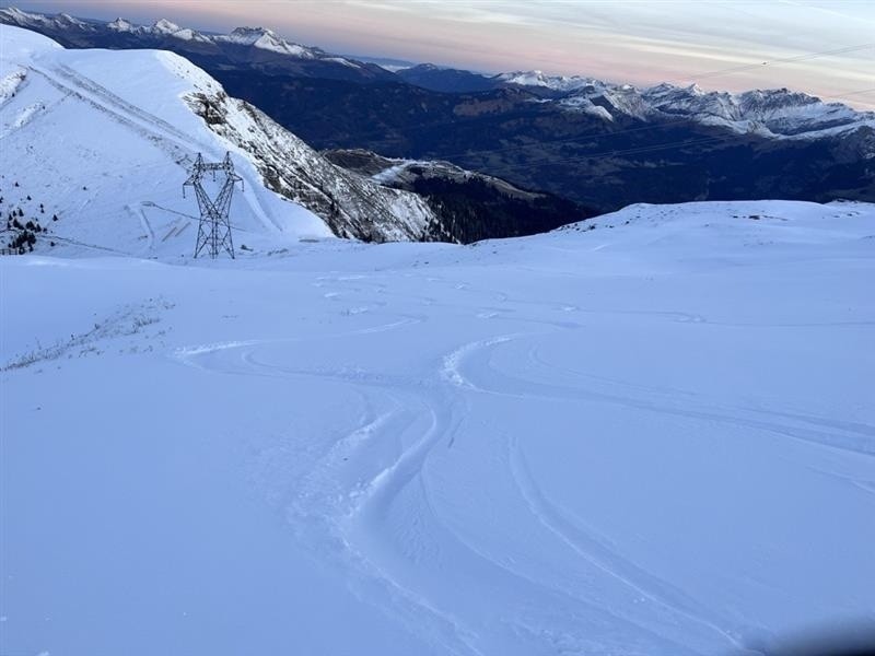 bonne 20cm de fraîche