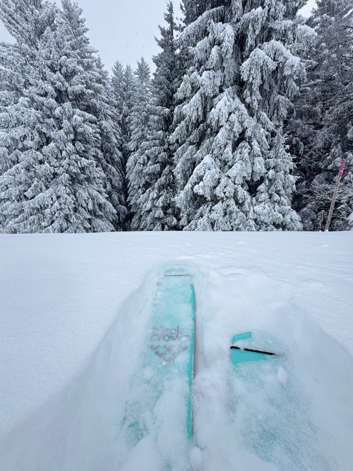 #7 Sommet Corbetta (1400) Sommet Corbetta (1400)