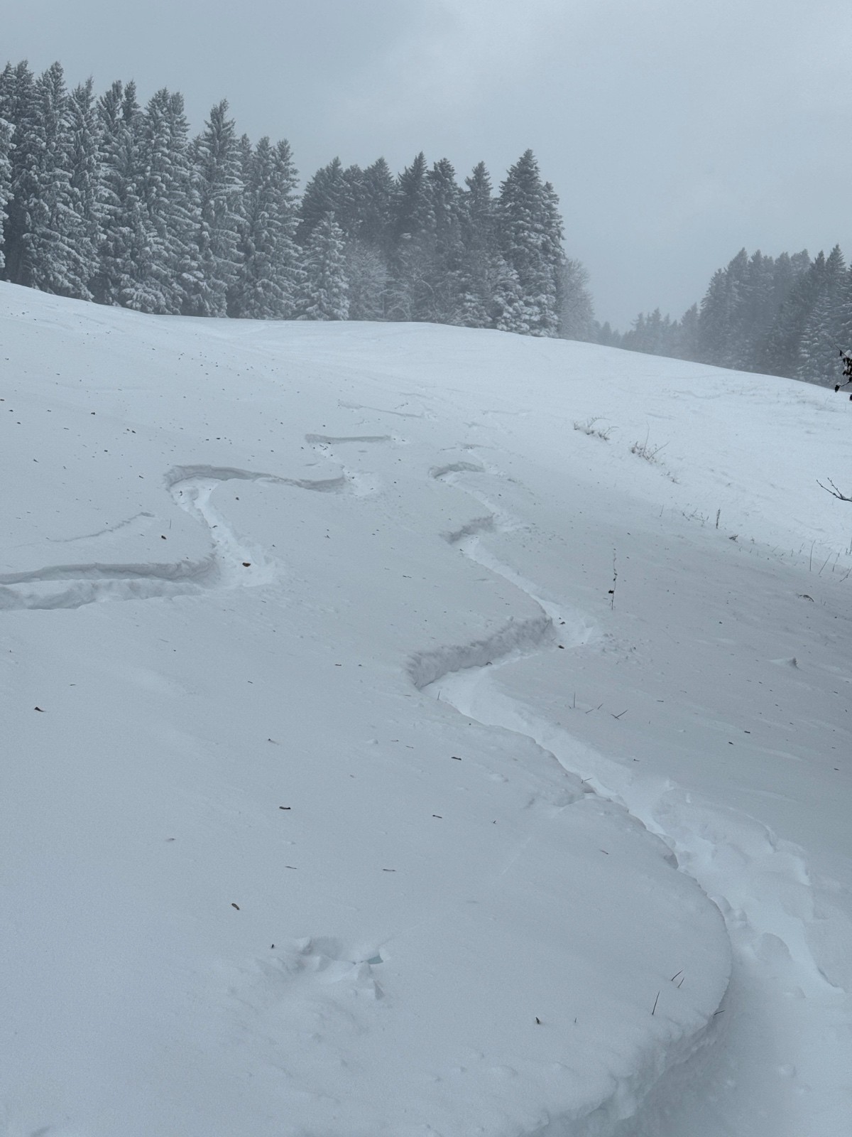 #5 Précurseurs Précurseurs