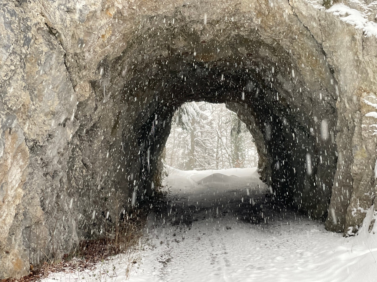#8 il neige toujours il neige toujours