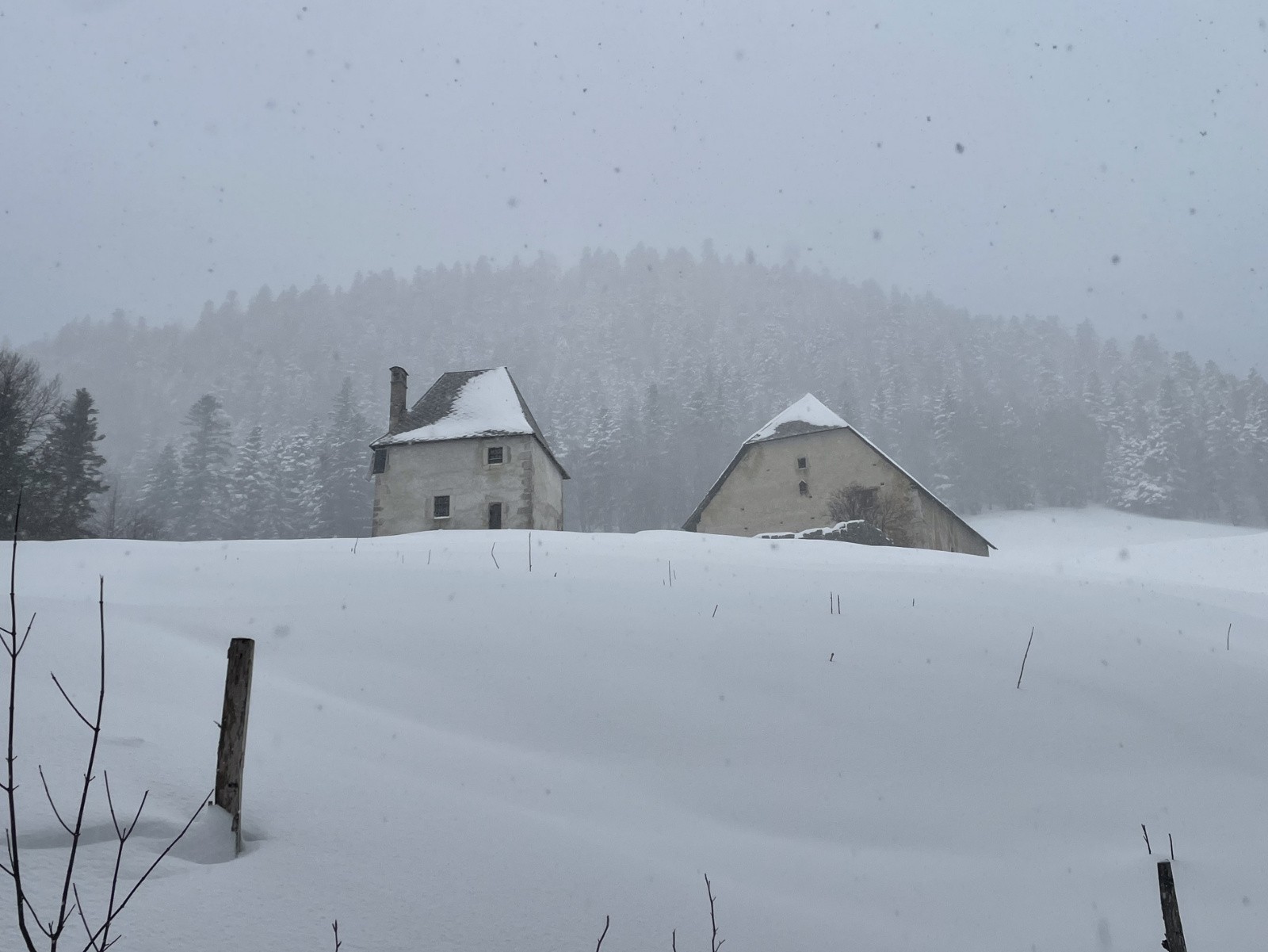 #7 Habert de Billon Habert de Billon