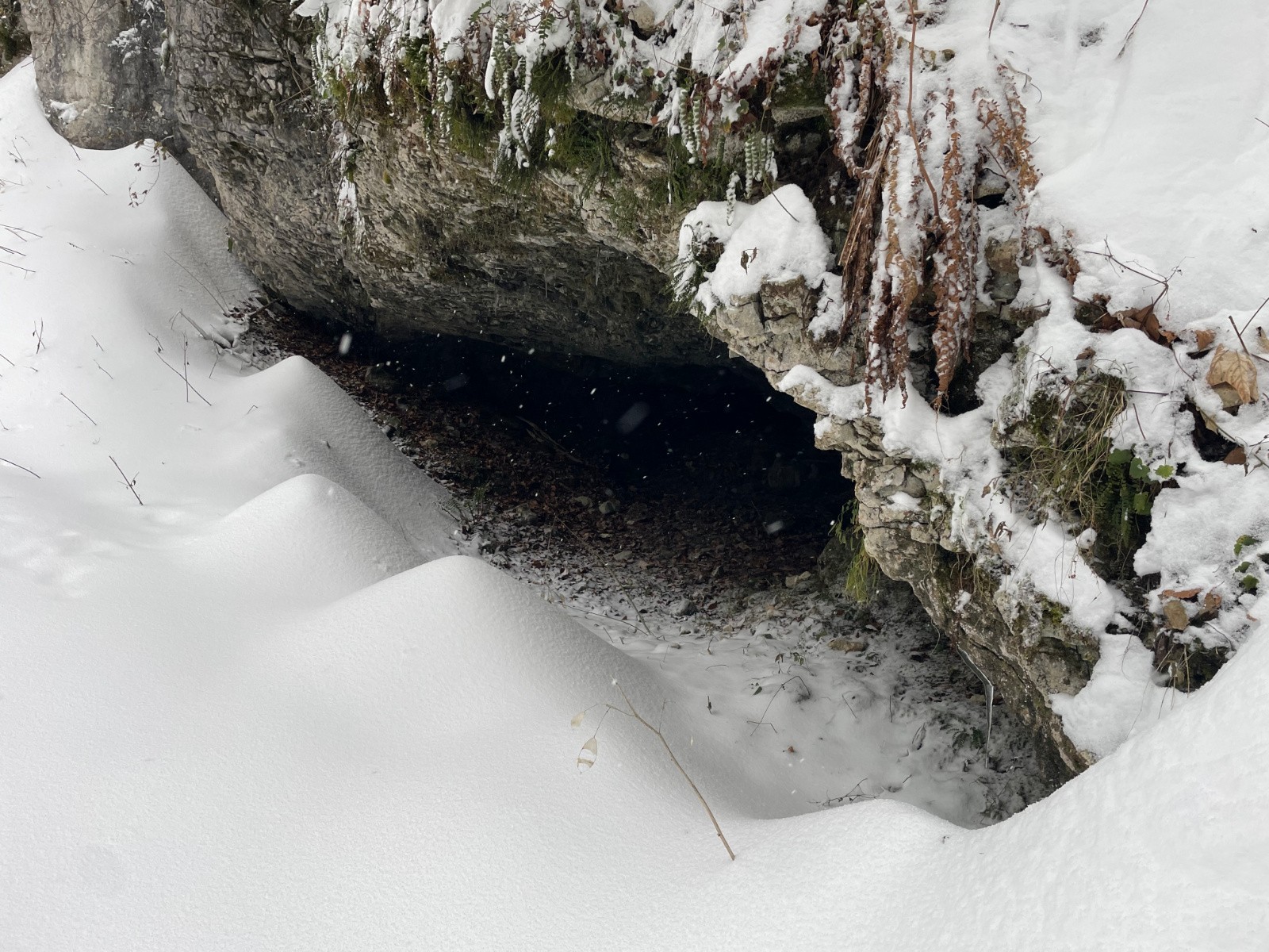 #6 devant la grotte, je me pointe devant la grotte, je me pointe