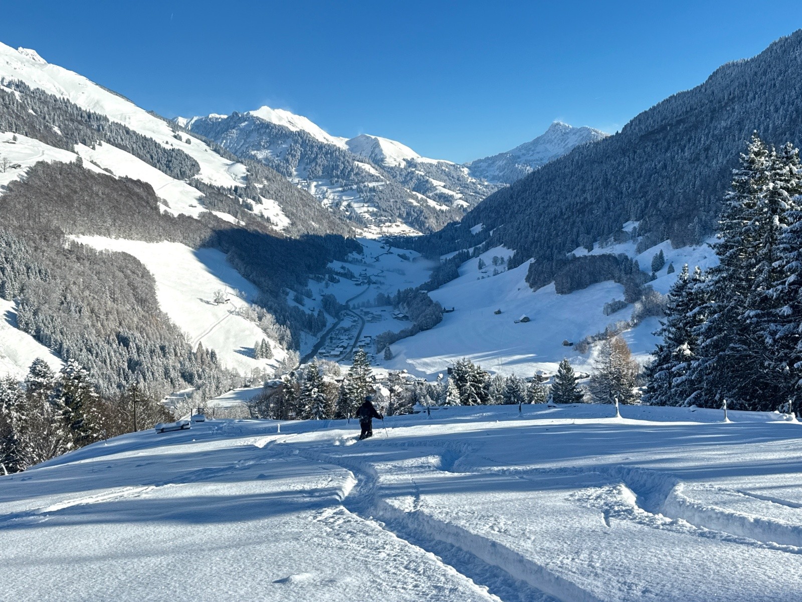 #16 Bon gavage de novembre Bon gavage de novembre