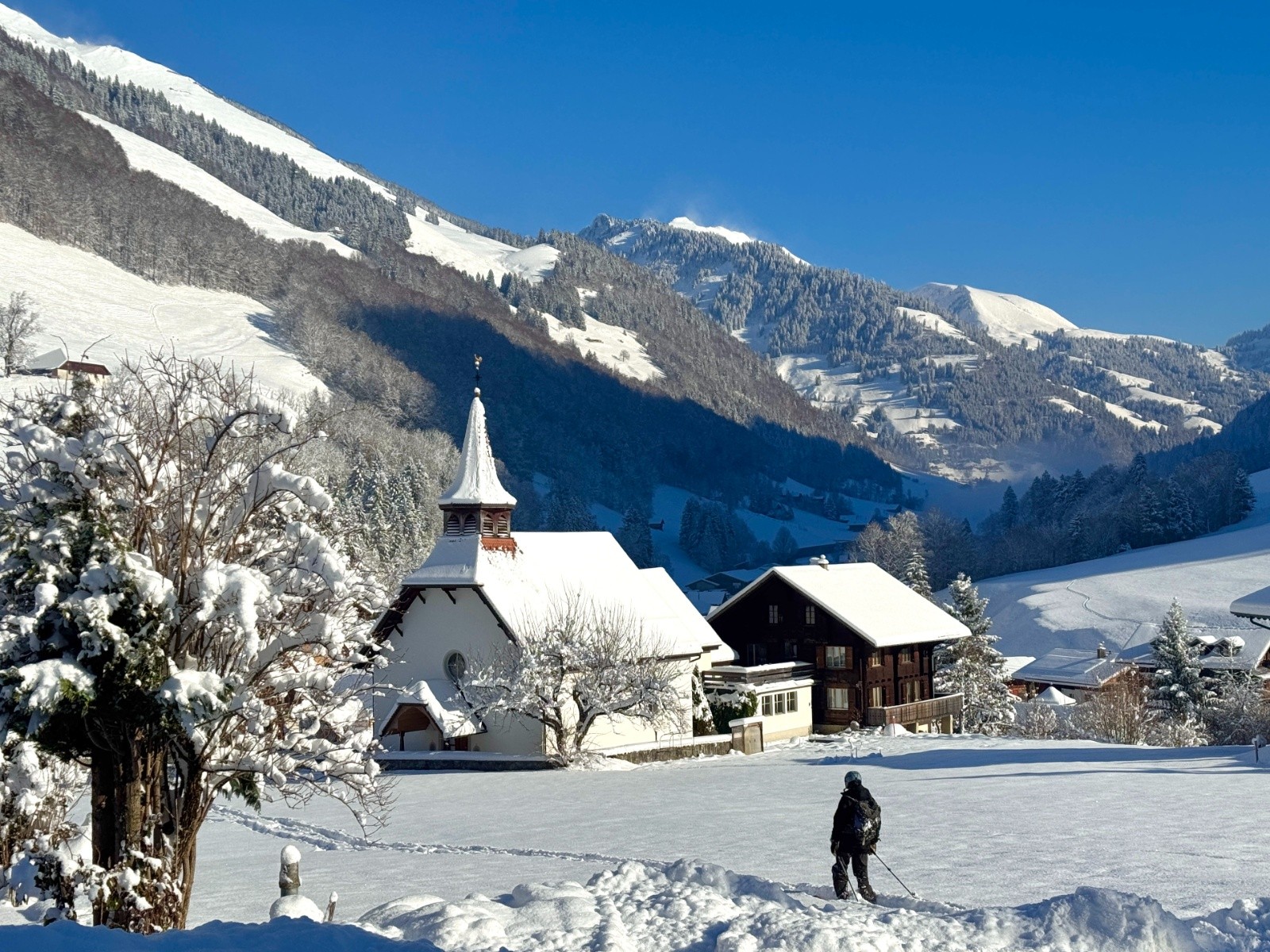 #18 retour bien bucolique à Im Fang retour bien bucolique à Im Fang