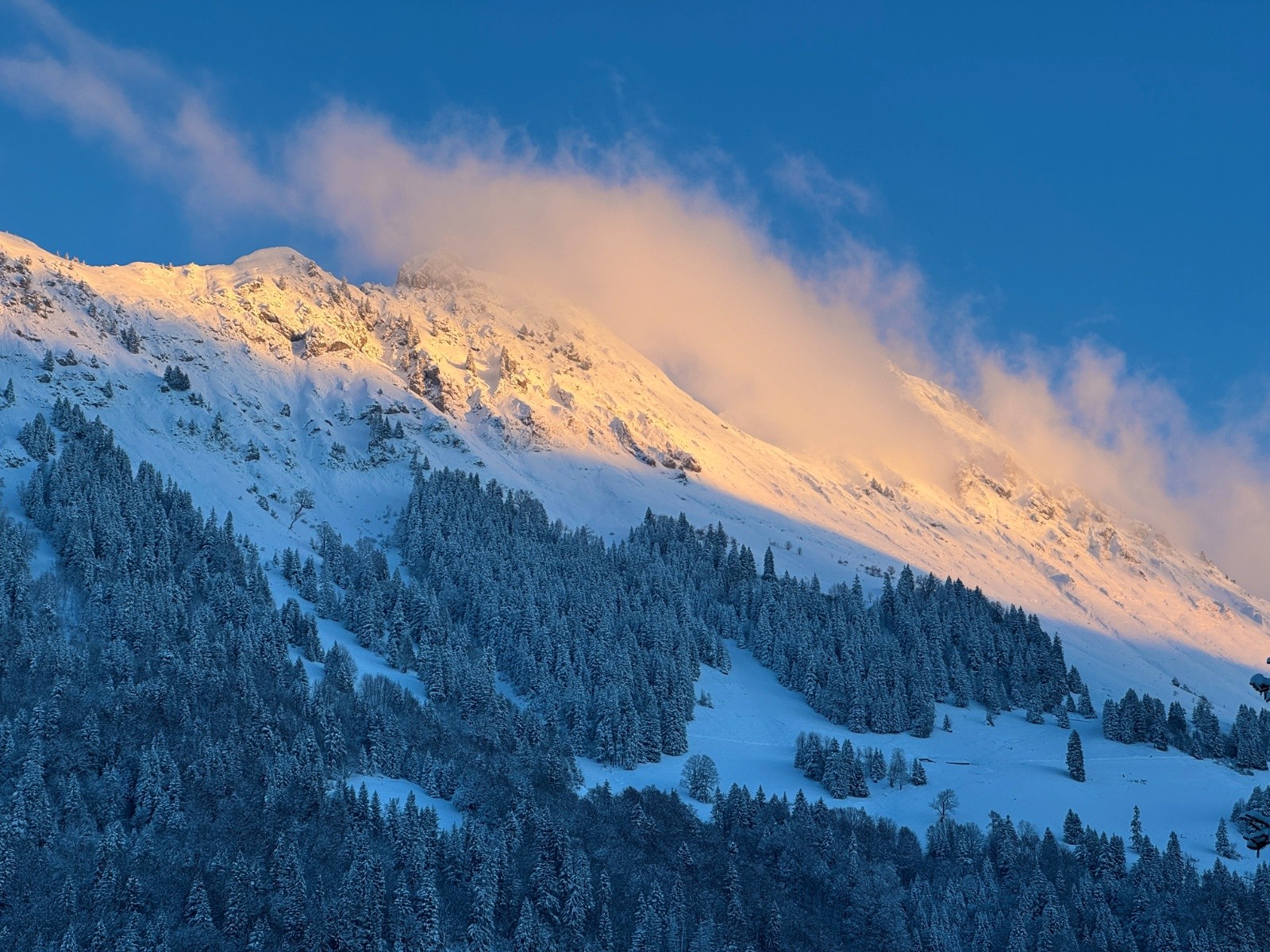 #6 Le Gros Brun Le Gros Brun