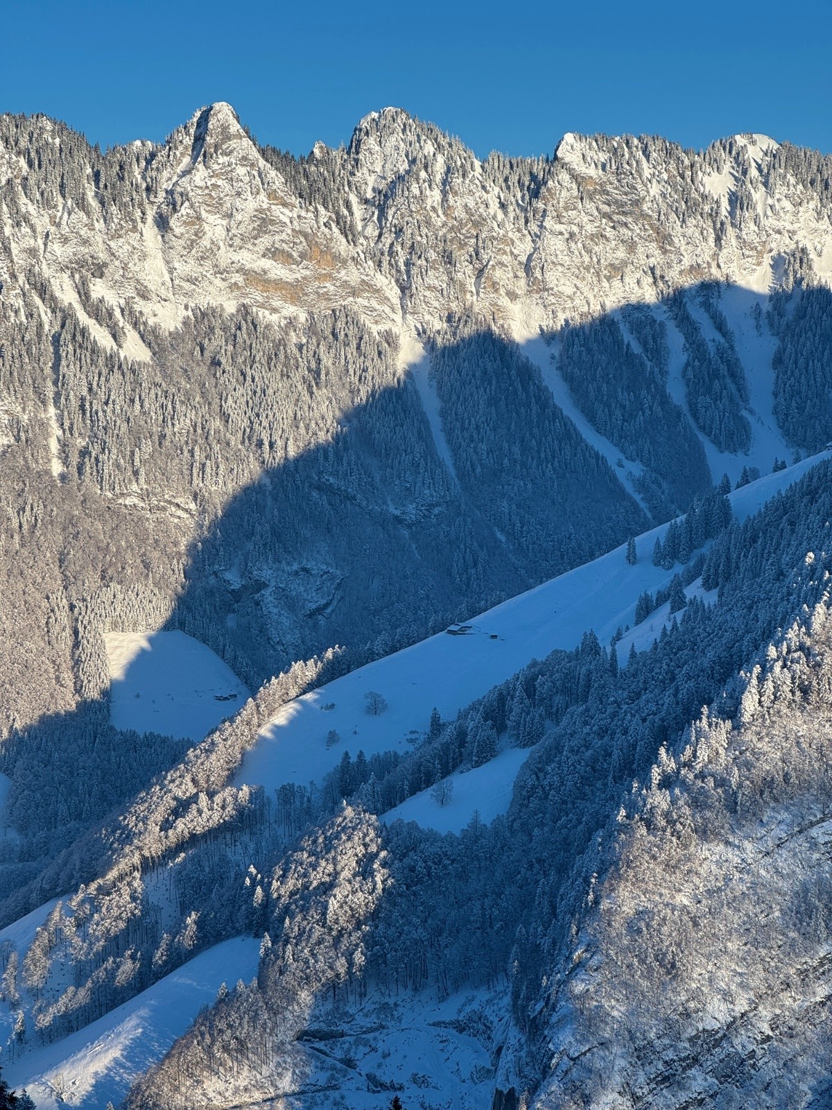 #8 Les Dents Vertes Les Dents Vertes