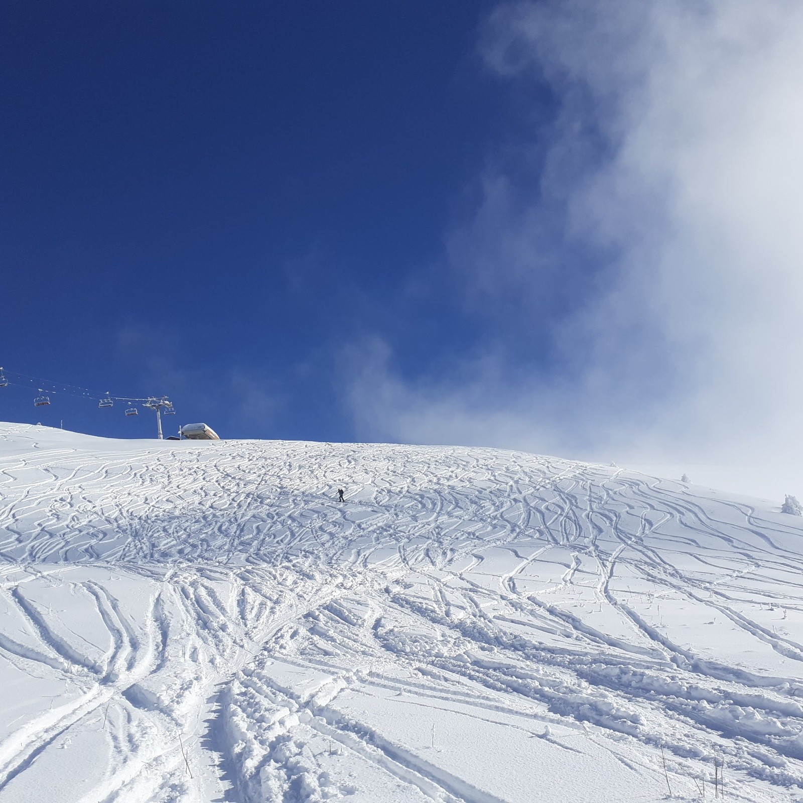 #2 Vers la crête sommitale, plus beaucoup de place encore vierge Vers la crête sommitale, plus beaucoup de place encore vierge