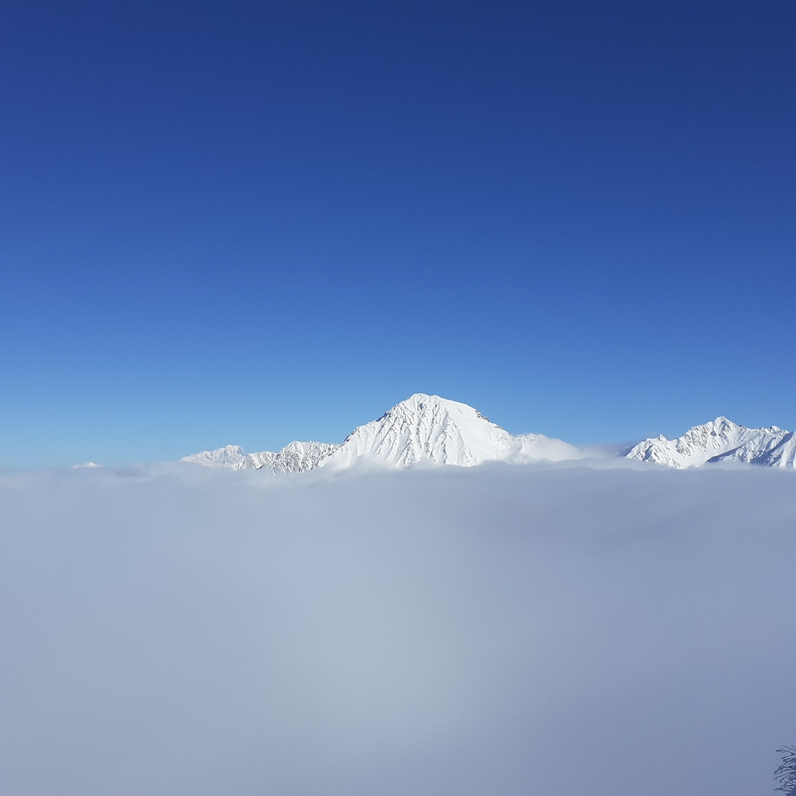 #4 Grands Moulins Grands Moulins