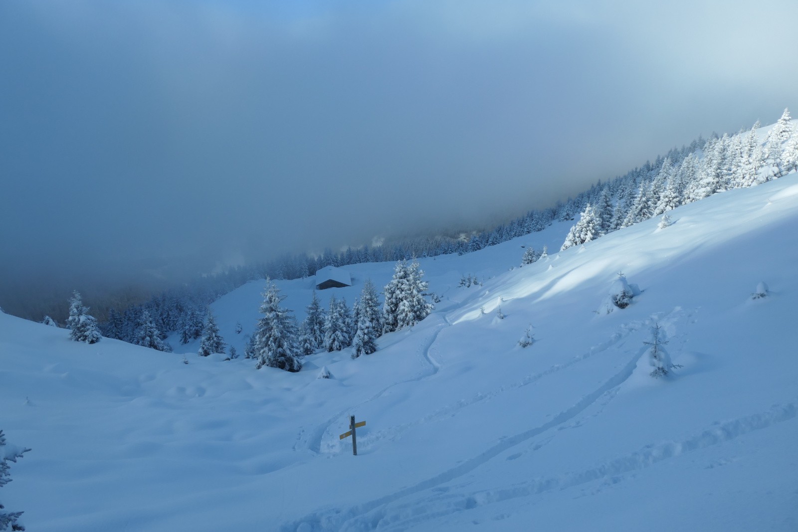 #6 La suite La suite