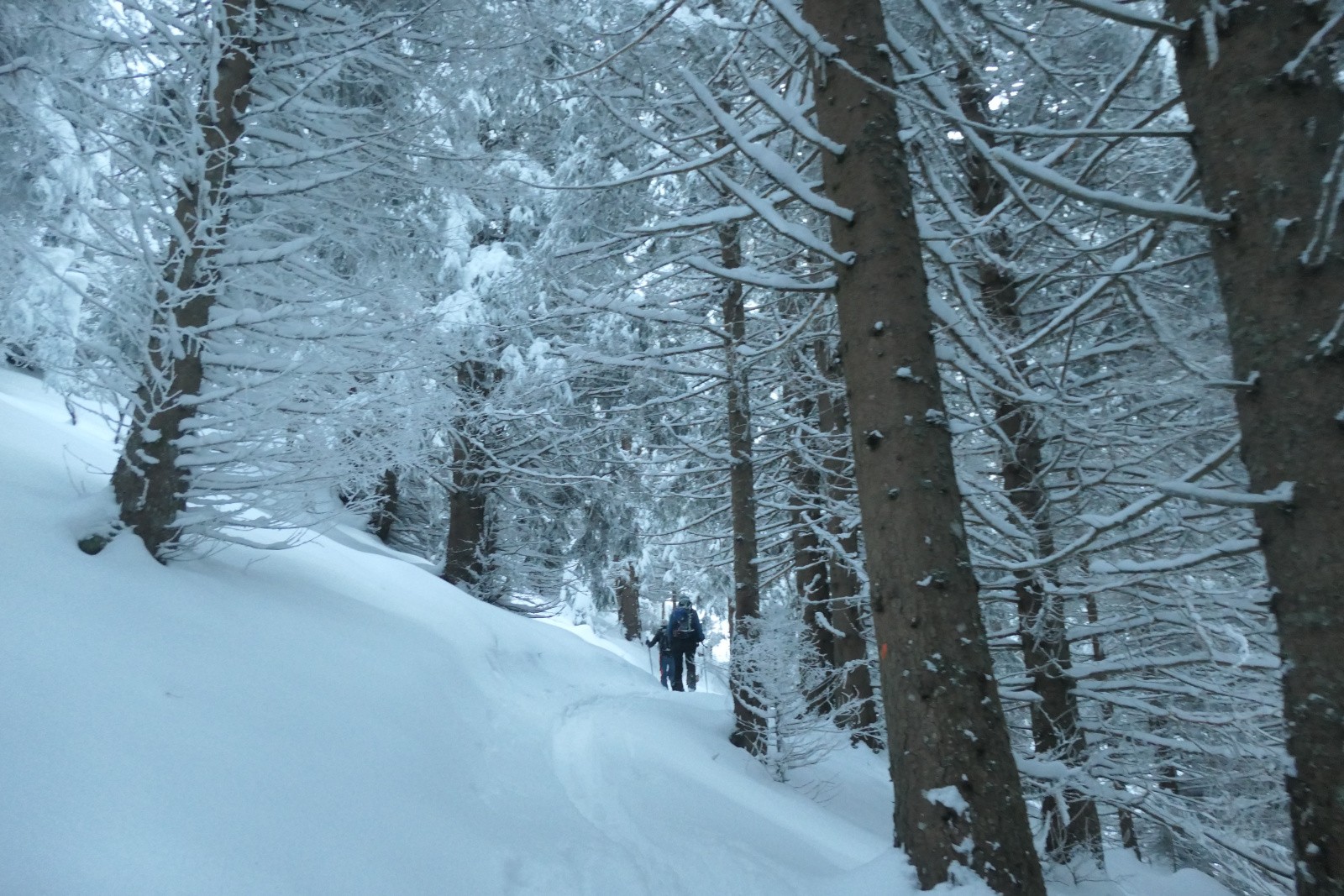 #3 Mes compagnons du jour me faussent compagnie Mes compagnons du jour me faussent compagnie
