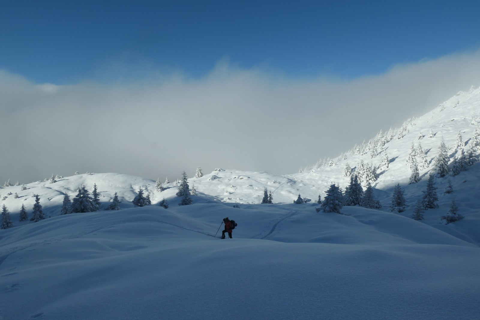 #8 Vinchy arrive Vinchy arrive