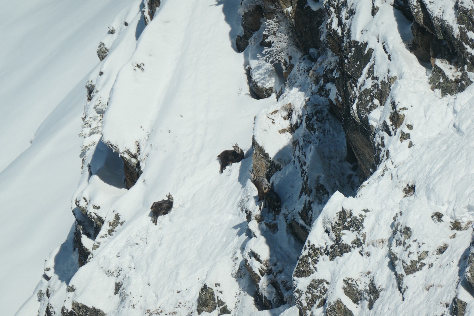 #11 D D'autres aussi