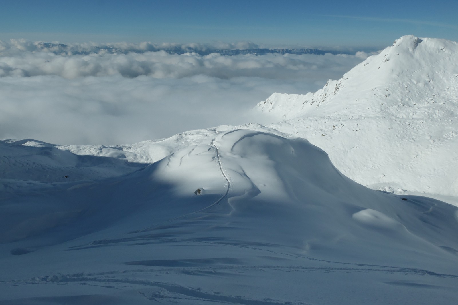 #22 Signé Glad38 Signé Glad38