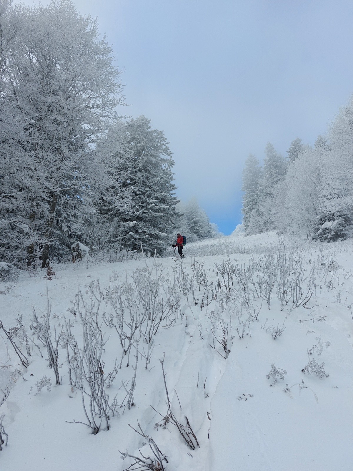 #7 Les arcosses Les arcosses