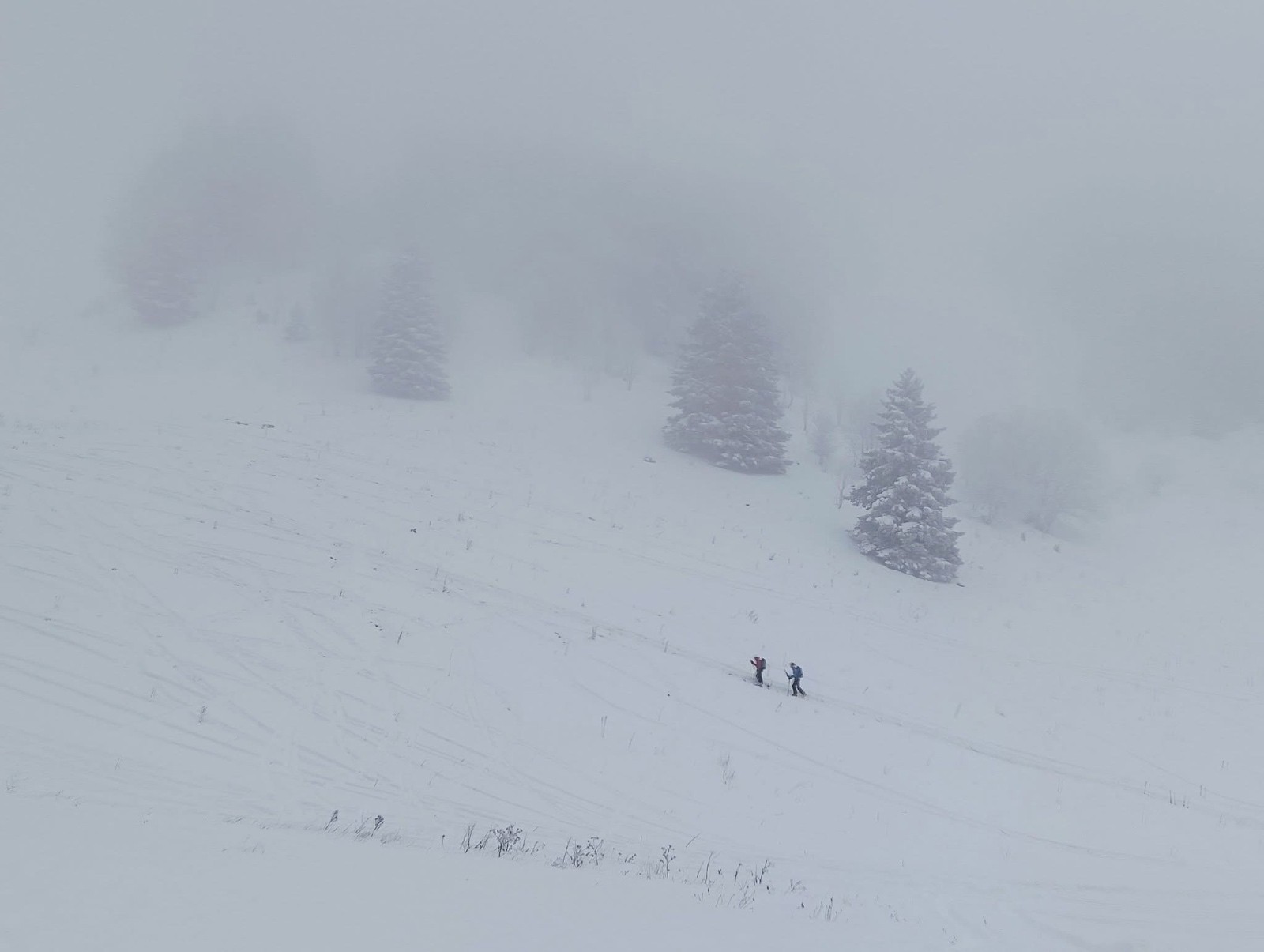 #4 Brouillard du matin Brouillard du matin