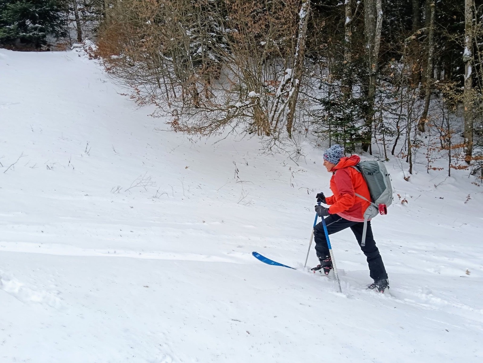 #3 Premiers pas Premiers pas