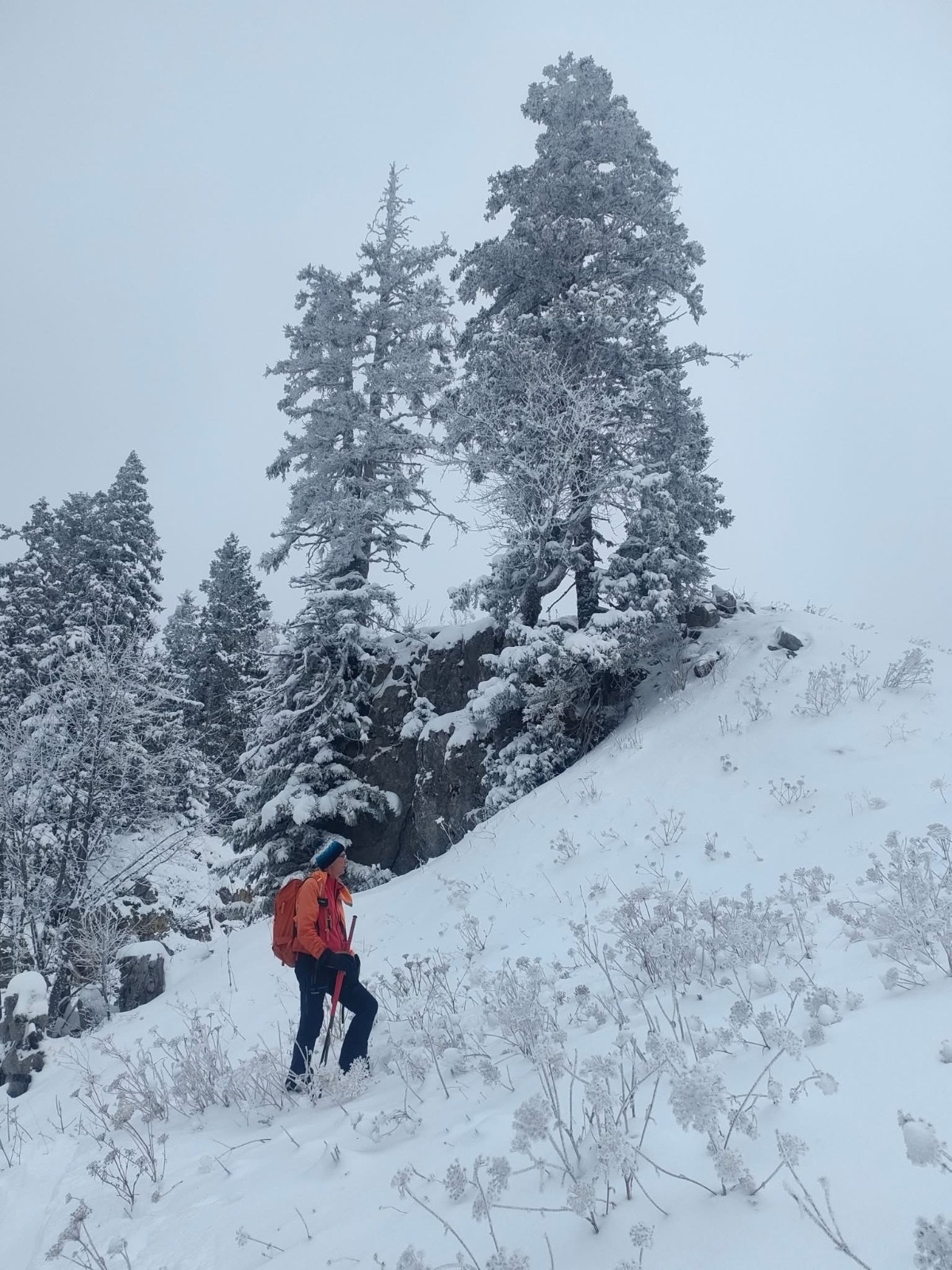 #5 randonnée dans les foins randonnée dans les foins