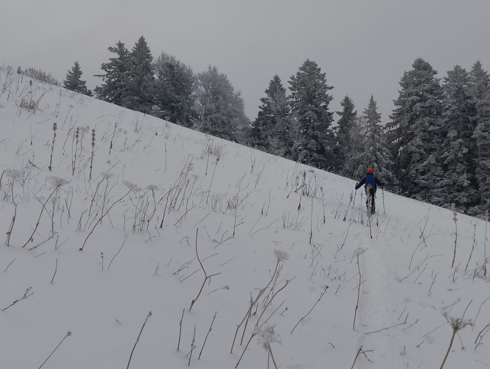 #1 Pas la sortie de l Pas la sortie de l'année, pas la photo de l'année