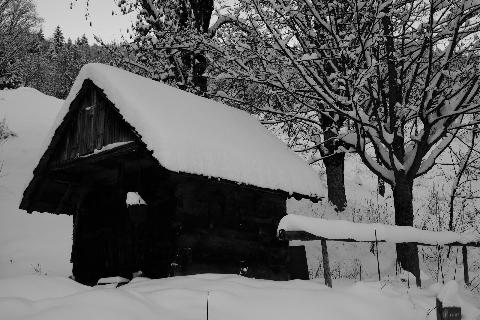 #4 Habert local... Habert local...