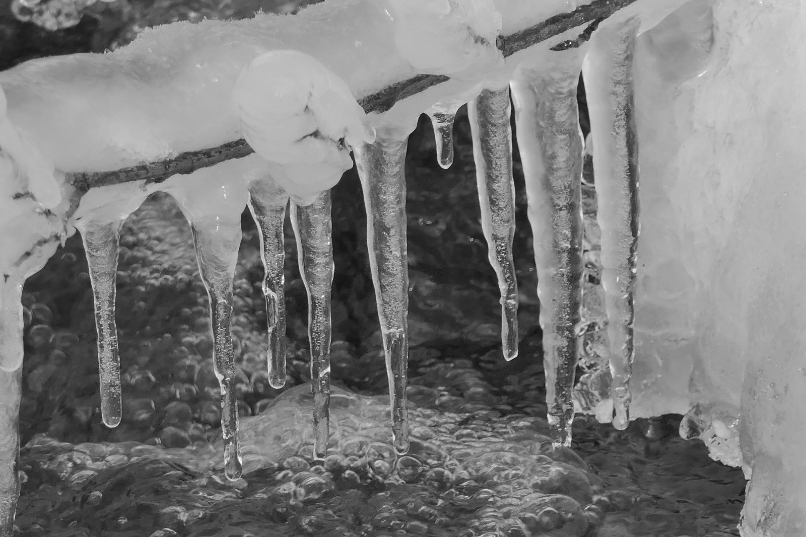 #14 Des bijoux pour dame Taramont... Des bijoux pour dame Taramont...