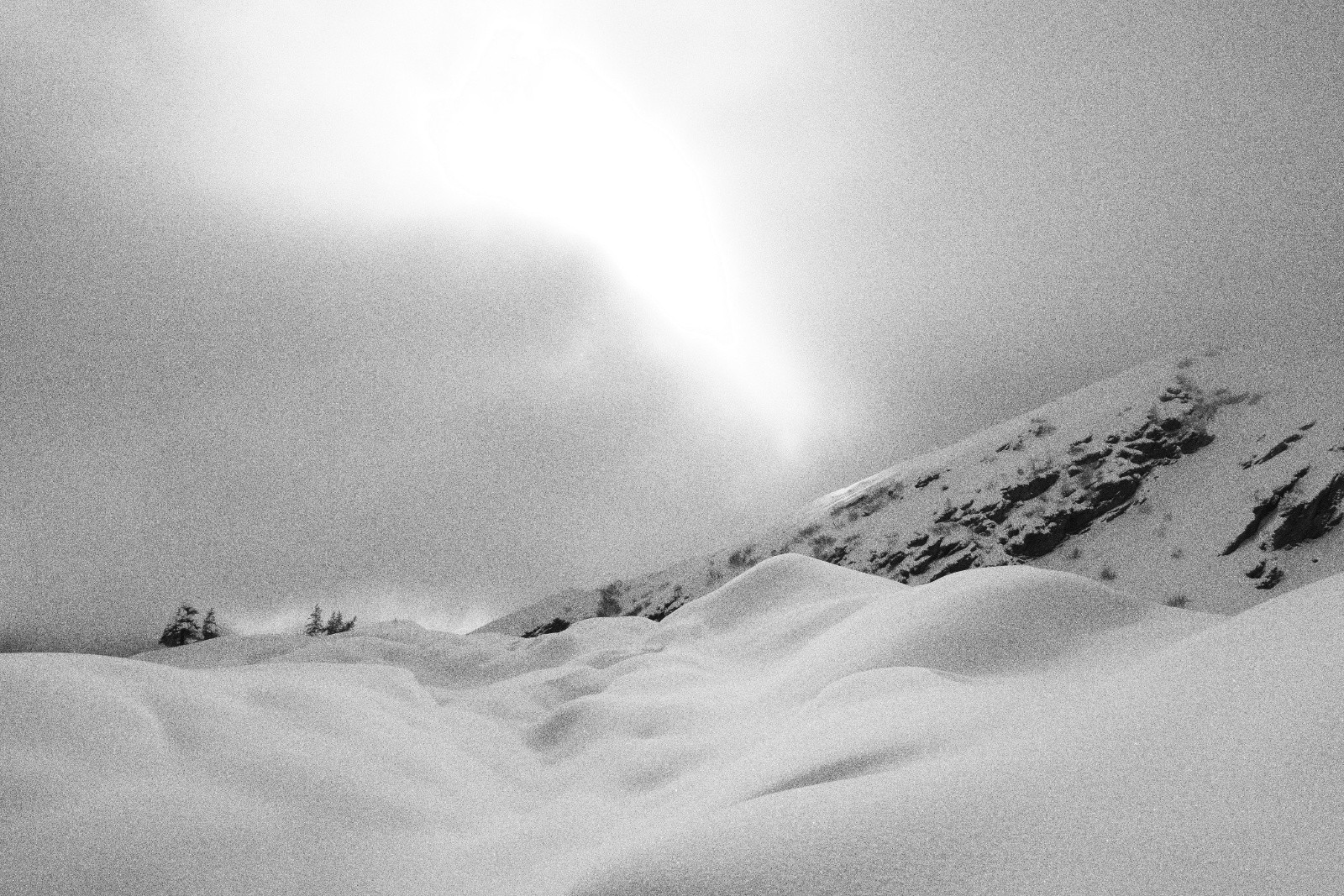 #17 Grain de photo... grain de beauté... Grain de photo... grain de beauté...