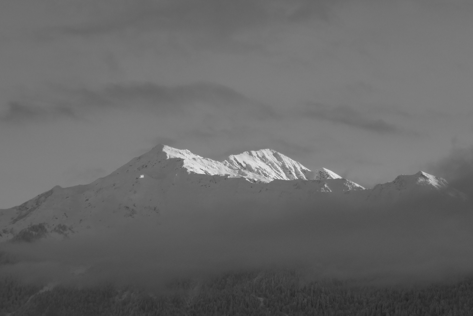 #1 Le but de la visite... Le but de la visite...