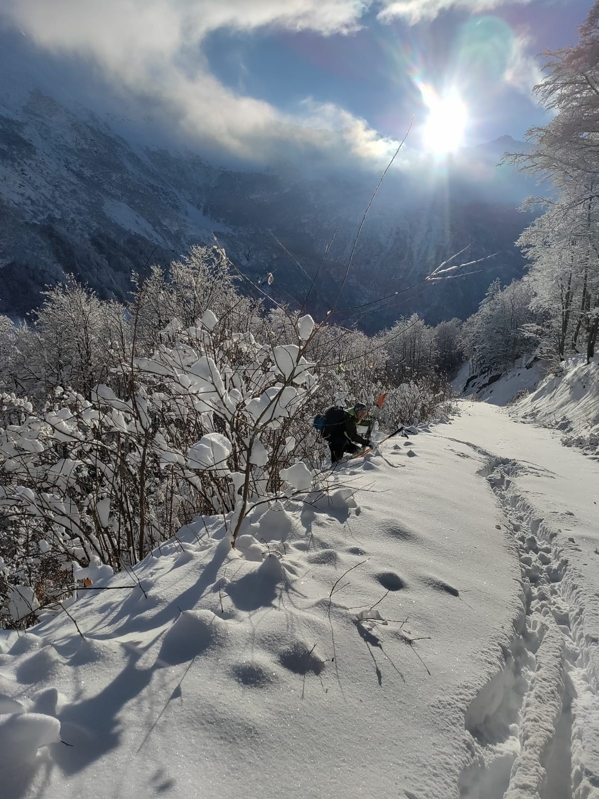 #8 Arcoces sournois... Arcoces sournois...